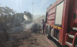 Hatay'da orman yangını