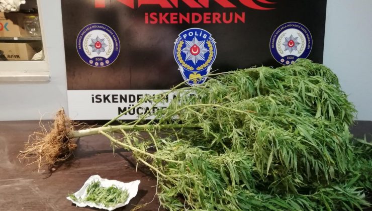 İskenderun’da uyuşturucu operasyonu: 7 gözaltı