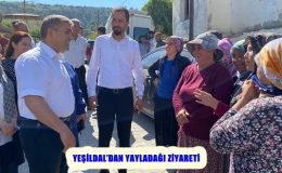 YEŞİLDAL’DAN YAYLADAĞI ZİYARETİ