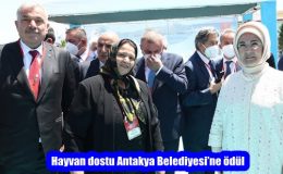 Hayvan dostu Antakya Belediyesi’ne ödül