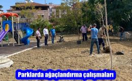 Parklarda ağaçlandırma çalışmaları