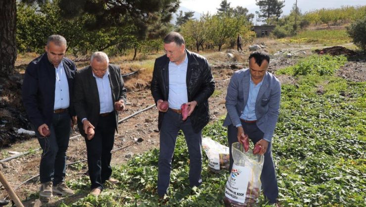 HBB’NİN KIRSAL KALKINMA PROJESİNDE DÖRT MEVSİM HASAT