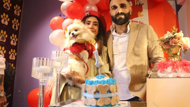 Nişanlı çift köpeklerine doğum günü düzenledi