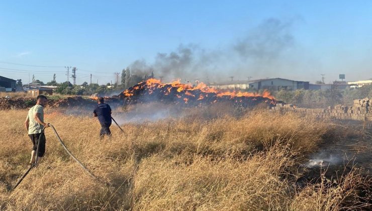 HASSA’DA SAMAN BALYALARI ALEVLERE TESLİM OLDU  