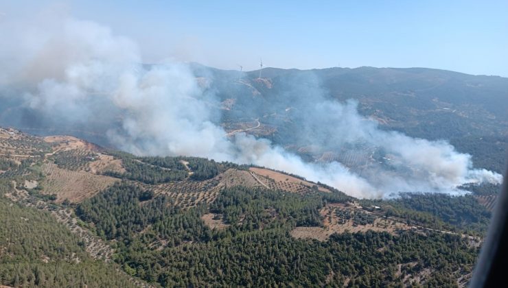 HATAY’DA ORMAN YANGINI  