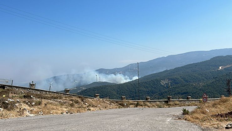 HATAY’DAKİ ORMAN YANGINI KONTROL ALTINA ALINDI  