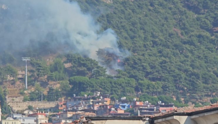 HABİBİ NECCAR DAĞI’NDA ÇIKAN YANGIN SÖNDÜRÜLDÜ  