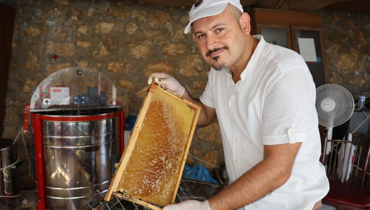 DEPREMZEDE ARICININ YÜZÜ ERKEN HASADLA GÜLDÜ