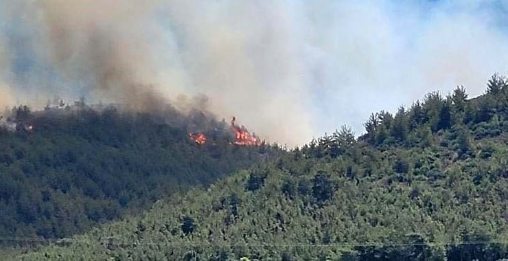 HATAY’DA ORMAN YANGINI 