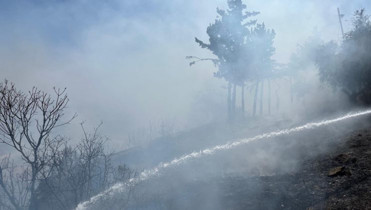 HBB’DEN ANIZ VE BAHÇE YAKMA UYARISI