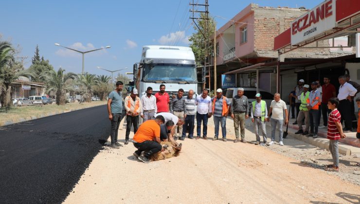 BETON ASFALTA KAVUŞAN AKTEPE MUHTARI KURBAN KESTİ