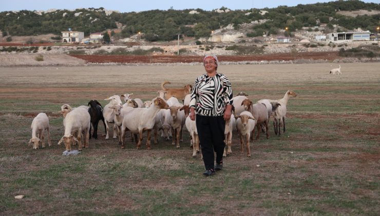 KADIN ÇOBAN, KAZANCIYLA EV VE ARABA SAHİBİ OLDU  