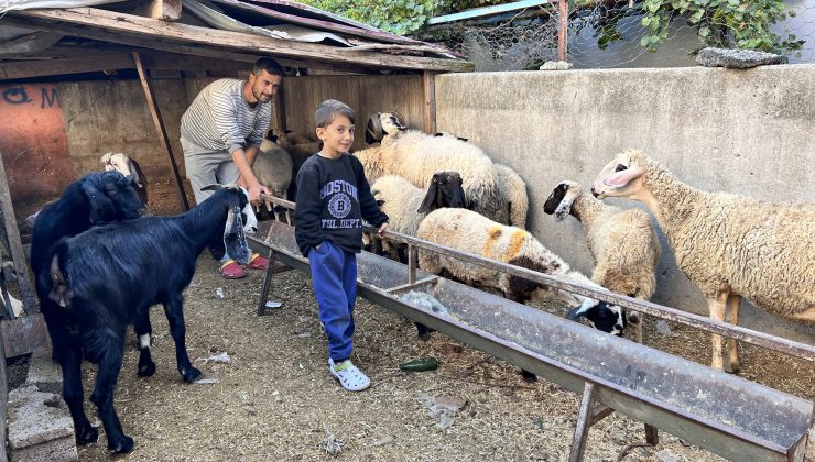 DEPREMZEDE ÇOBANIN ÇALINAN KOYUNLARI BULUNDU