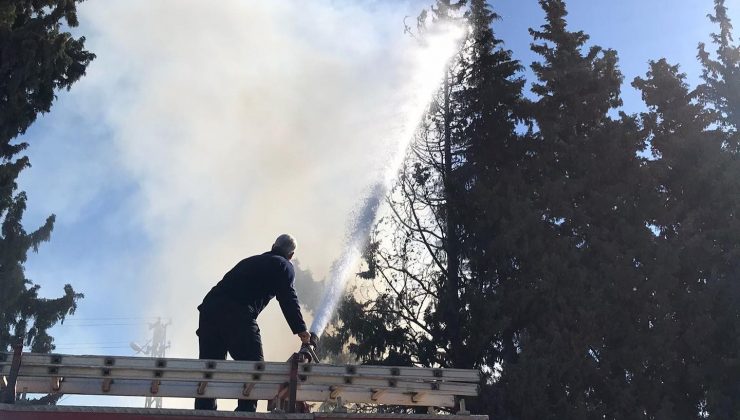 REYHANLI’DA ÇAMLIK ALANDA YANGIN ÇIKTI  