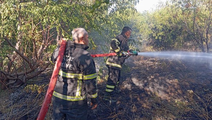 SAMANDAĞ’DA BAHÇE YANGINI SÖNDÜRÜLDÜ  