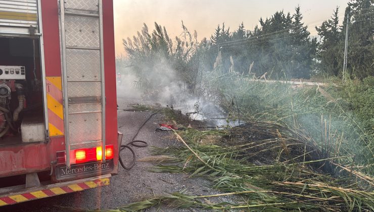 ARSUZ’DA DERE YATAĞINDAKİ OTLAR YANDI 