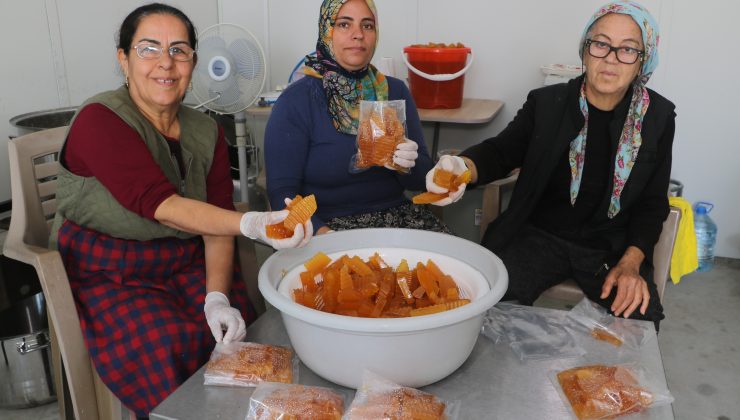 MARİ’NİN BAL KABAKLARI DEPREMZEDE KADINLARA UMUT OLDU  