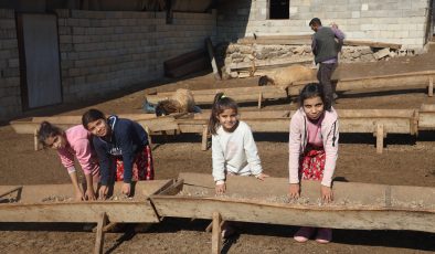 ÖĞRENCİLERİNE ÖDEV OLARAK İNEK SAĞDIRIYOR