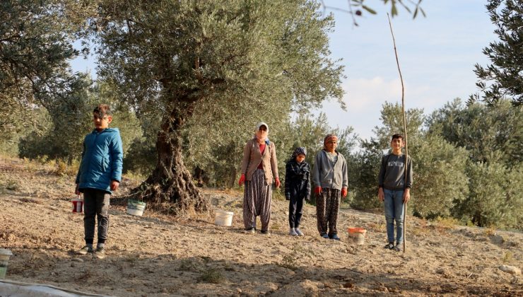 ZEYTİN HASADINDA ATA’YA SAYGI DURUŞU