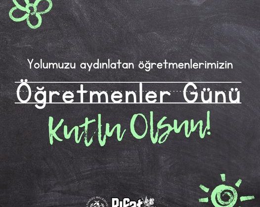 SARI: ÖĞRETMENLER GELECEĞİMİZİN MİMARLARIDIR