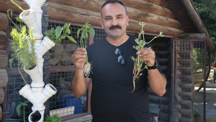 ATIKLARDAN ‘GÜNEŞ ENERJİSİYLE ÇALIŞAN DİKEY TARIM SİSTEMİ’ KURDU  