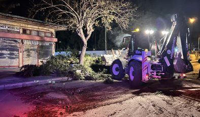 KUVVETLİ FIRTINA AĞAÇLARI YERİNDEN SÖKTÜ, ÇATILARI UÇURDU  