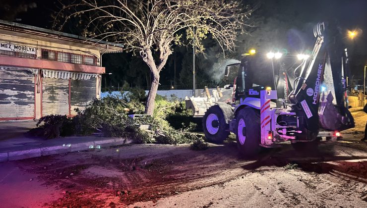 KUVVETLİ FIRTINA AĞAÇLARI YERİNDEN SÖKTÜ, ÇATILARI UÇURDU  