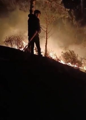 HATAY’DA ORMANLIK ALANDA ÇIKAN YANGIN SÖNDÜRÜLDÜ  