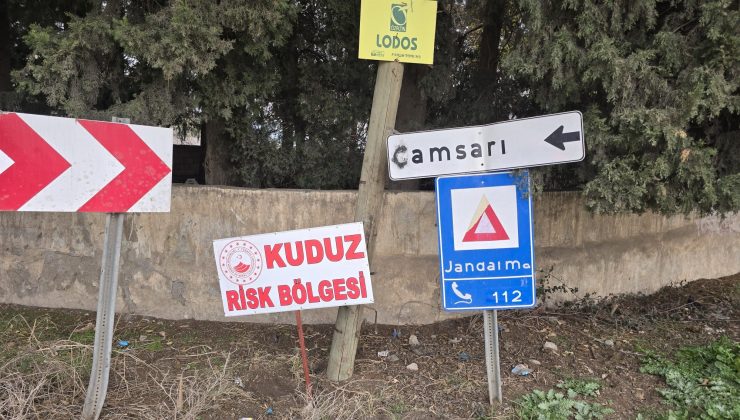 HATAY’DA VATANDAŞLARA SALDIRAN KÖPEK KUDUZ ÇIKTI, MAHALLE KARANTİNAYA ALINDI