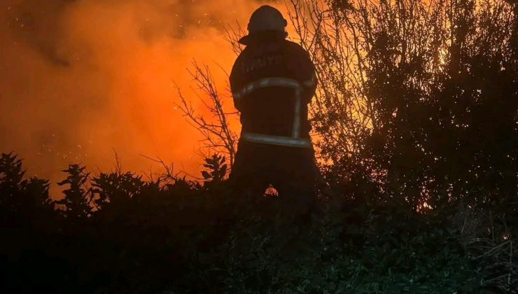 ARSUZ’DA KAMIŞLIK ALANDA ÇIKAN YANGIN SÖNDÜRÜLDÜ