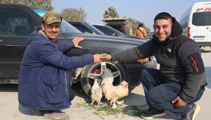 TEKERE BAĞLADIĞI HOROZUYLA, TAVUĞUNU ARABASIYLA BİRLİKTE SATIŞA ÇIKARDI