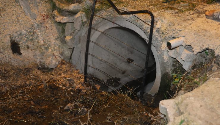 KANALİZASYON BORUSUNA SIKIŞAN BUZAĞIYI İTFAİYE KURTARDI  