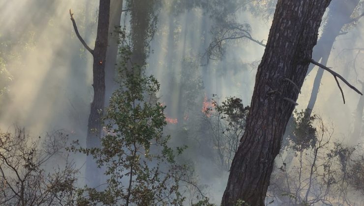 HATAY’DA ORMANLIK ALANDA ÖRTÜ YANGINI ÇIKTI  