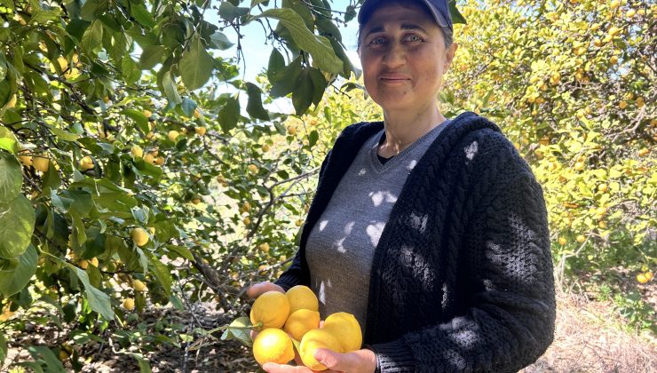 MERAL ÇAVUŞ, 30 YILDIR TARLALARIN YOLUNU TUTARAK EKMEK PARASINI KAZANIYOR  